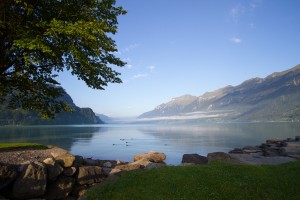 IMG_1294_Brienzersee      
