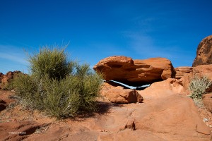 251IMG_0366_aufgelegter_S